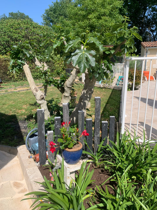 Piquet de Schiste Décoration